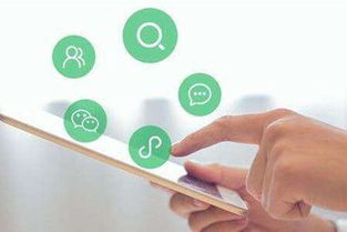 流量风口下的品牌困局 技术推广的机遇与陷阱