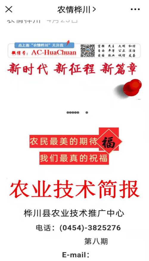 科技助力春耕 服务送到田间——桦川县农技推广中心下乡指导春耕春播