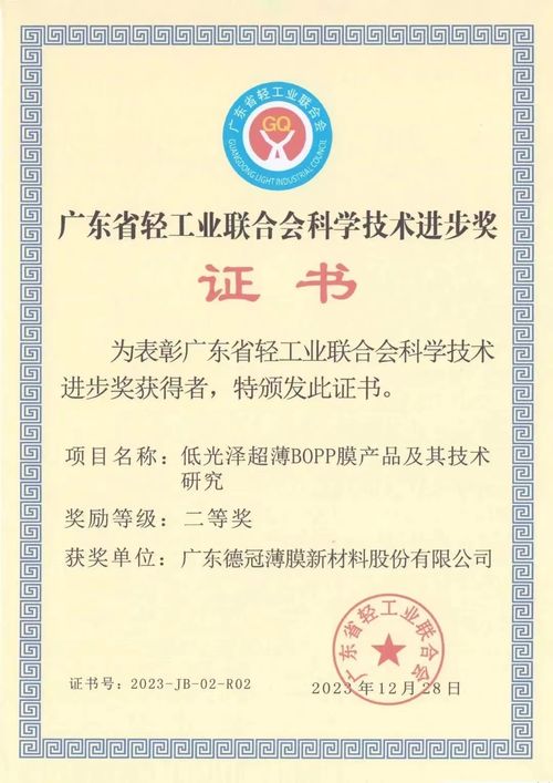 技术之光如何照亮社会万象