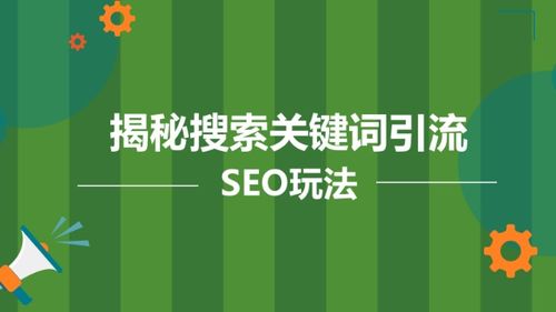 陆明明 搜索推广吸粉技术，全套运营方案揭秘